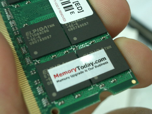 IMGP8738.JPG