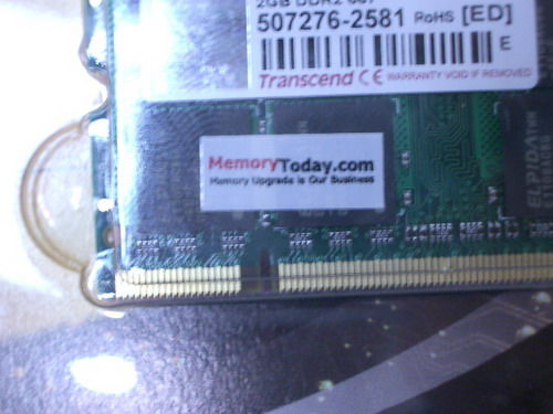 IMGP8759.JPG