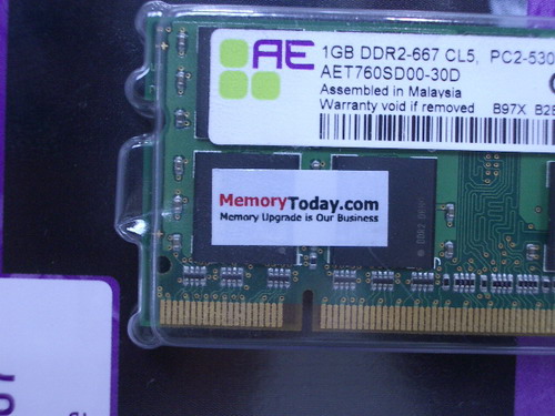 IMGP8768.JPG