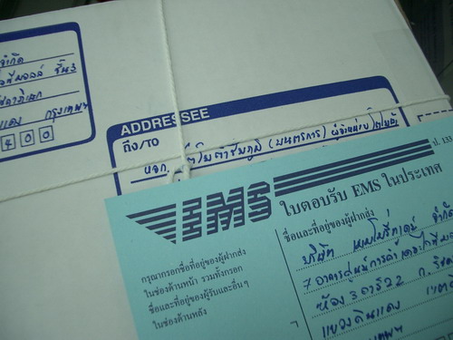 IMGP8772.JPG