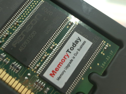 IMGP8790.JPG