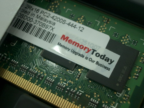 IMGP8794.JPG