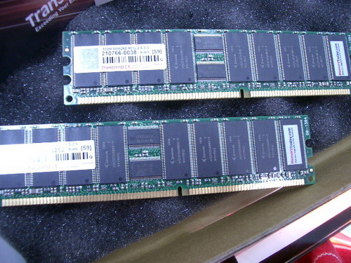 IMGP8796.JPG