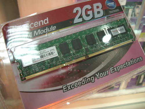 IMGP8798.JPG