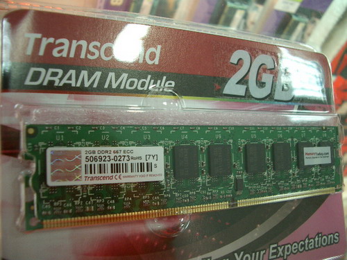 IMGP8800.JPG
