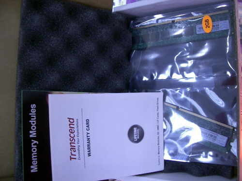 IMGP8803.JPG