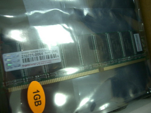 IMGP8808.JPG