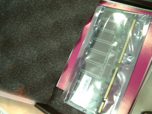 IMGP8811.JPG