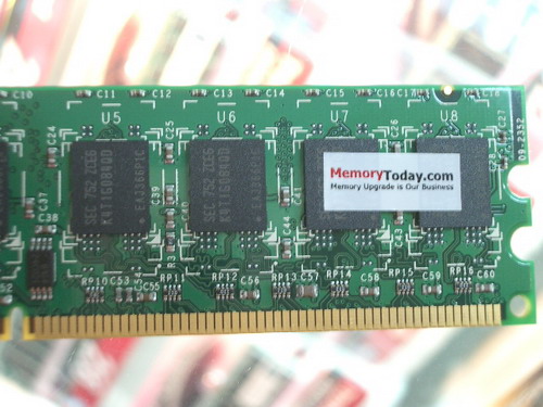 IMGP8817.JPG
