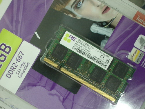 IMGP8825.JPG
