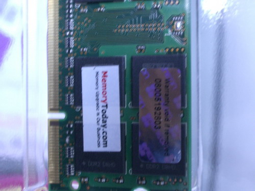 IMGP8826.JPG