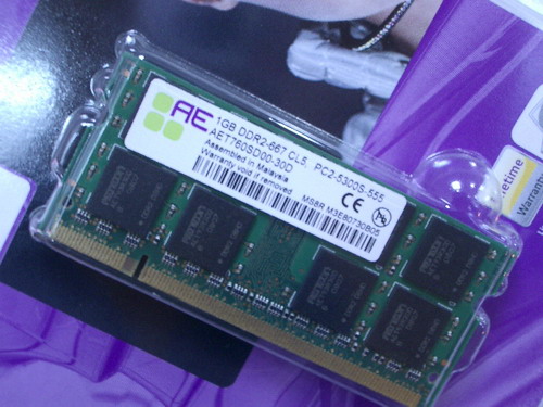IMGP8838.JPG