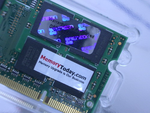IMGP8839.JPG