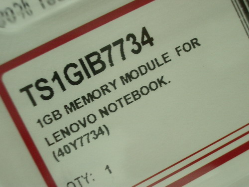 IMGP8845.JPG