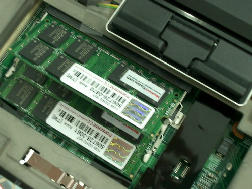 IMGP8850.JPG
