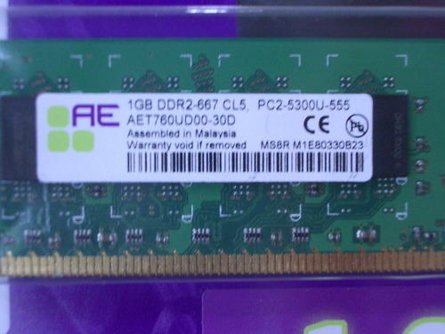 IMGP8858.JPG