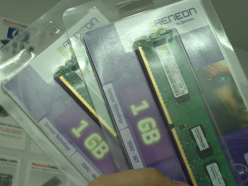 IMGP8859.JPG