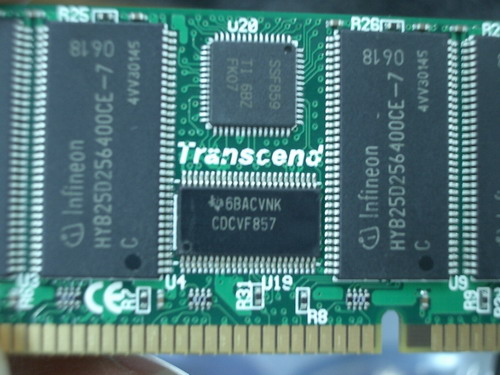 IMGP8972.JPG