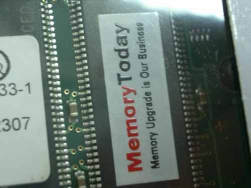 IMGP8979.JPG