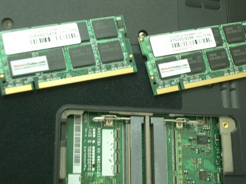 IMGP8986.JPG