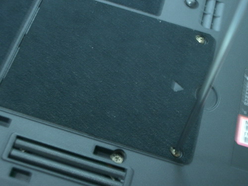 IMGP8989.JPG