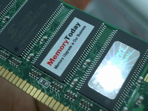 IMGP8996.JPG