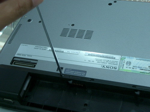 IMGP9010.JPG