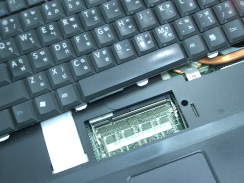 IMGP9011.JPG