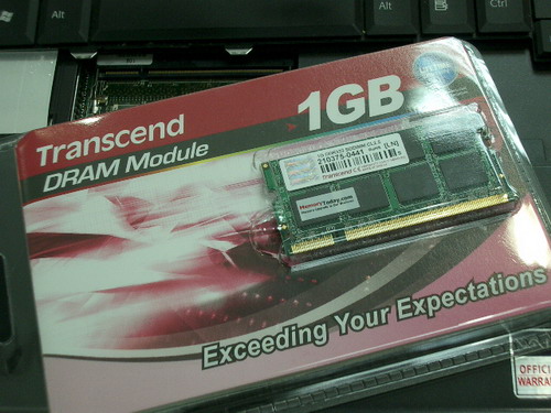 IMGP9012.JPG