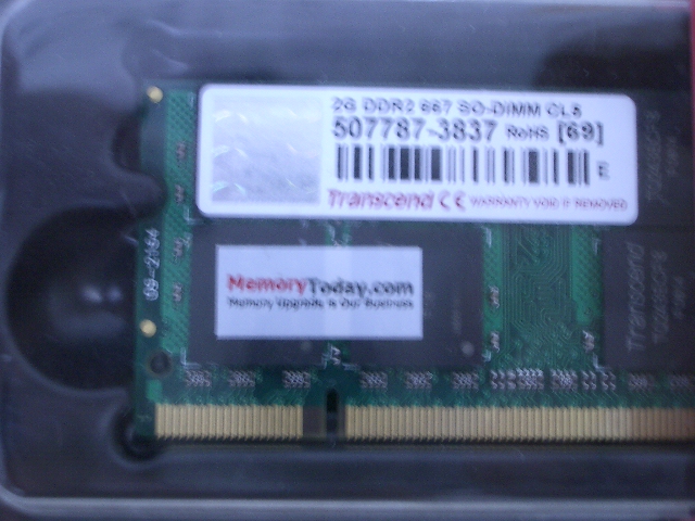 IMGP9016.JPG