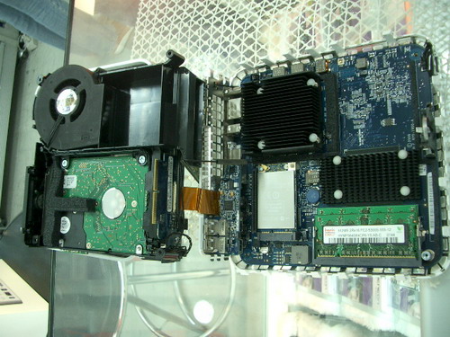 IMGP9025.JPG