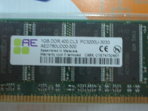 IMGP9038.JPG