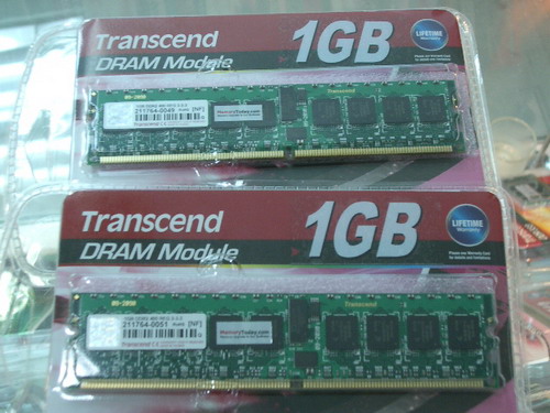 IMGP9054.JPG