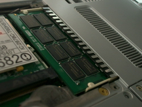 IMGP9063.JPG