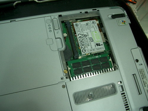 IMGP9065.JPG