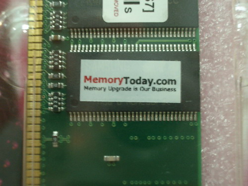 IMGP9071.JPG
