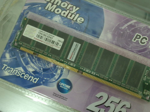 IMGP9091.JPG