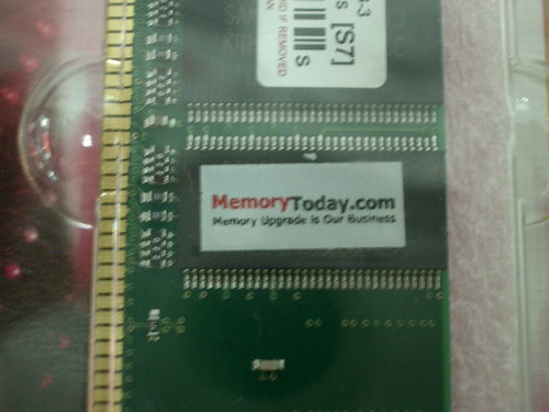 IMGP9095.JPG