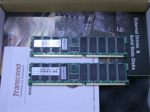 IMGP9101.JPG