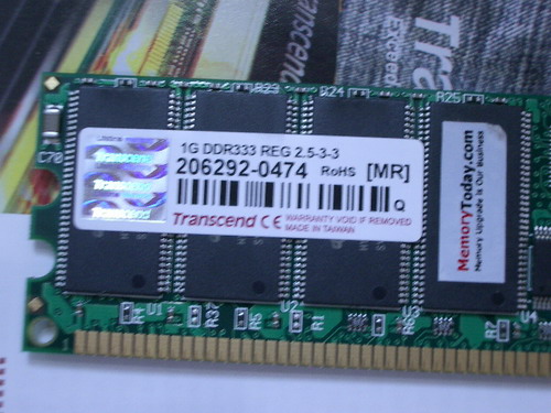 IMGP9102.JPG