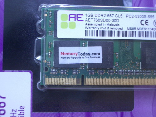 IMGP9107.JPG