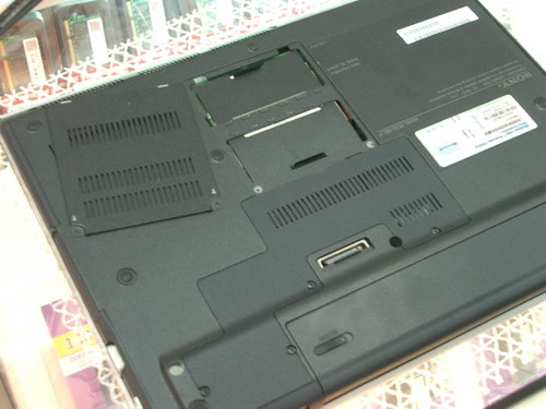 IMGP9113.JPG