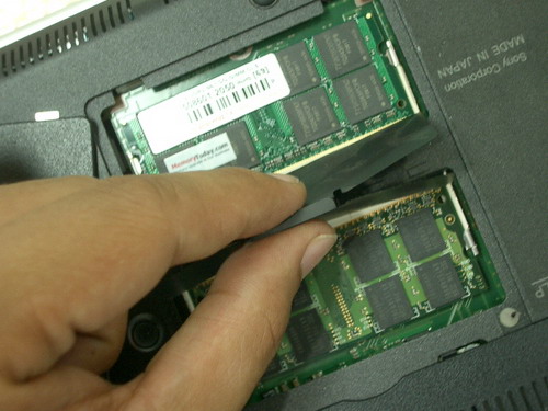 IMGP9114.JPG