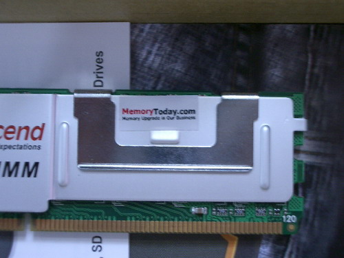 IMGP9119.JPG