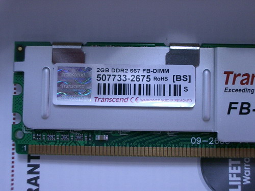 IMGP9122.JPG