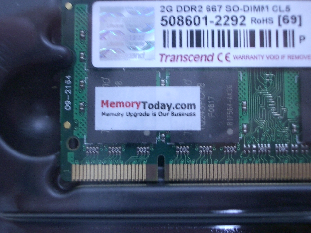 IMGP9132.JPG