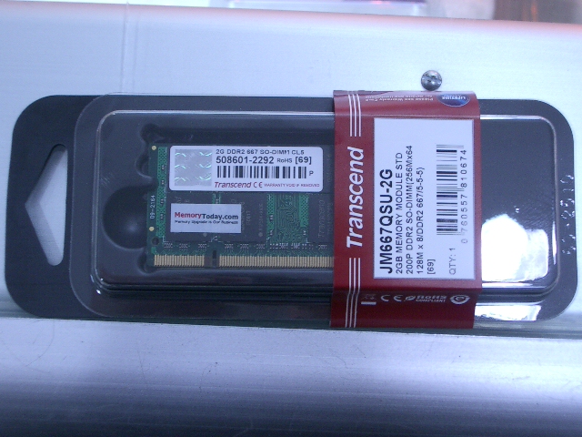 IMGP9133.JPG