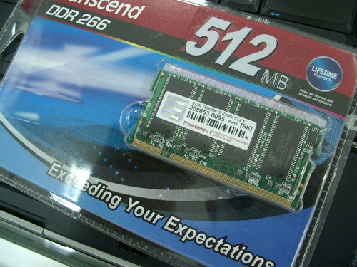 IMGP9136.JPG