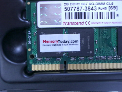 IMGP9161.JPG