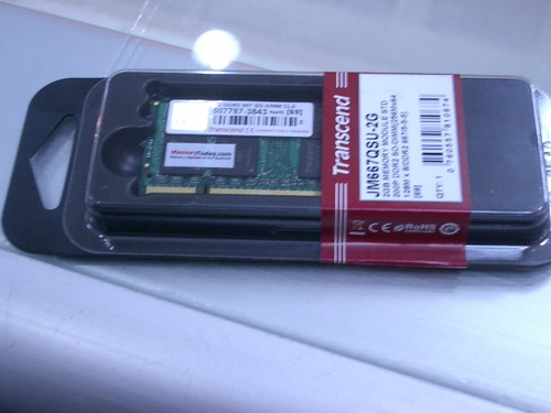 IMGP9163.JPG